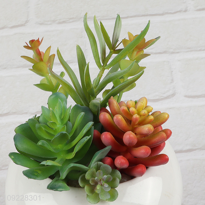 Factory Supply Faux Succulent Plants Artificial Potted Plants for Indoor Decor