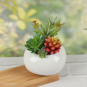 Factory Supply Faux Succulent Plants Artificial Potted Plants for Indoor Decor