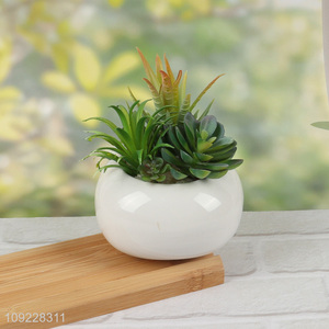 Online Wholesale Fake Succulent Plants Artitificial Potted Plants for Shelf Decor