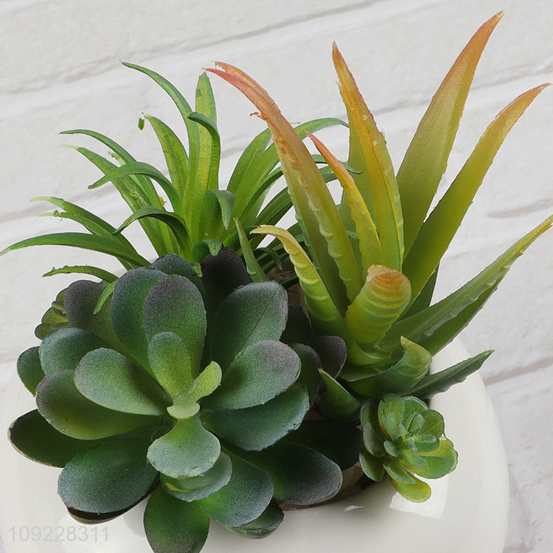 Online Wholesale Fake Succulent Plants Artitificial Potted Plants for Shelf Decor
