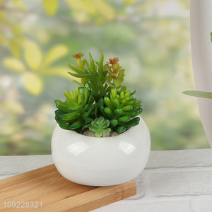 New Product Small Artificial Potted Succulent Plants for Indoor Outdoor Decor