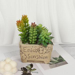 New Product Fake Succulent Plants Artitificial Potted Plants for Shelf Decor