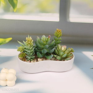 High Quality Fake Succulent Plants Artificial Potted Plants for Indoor Decor