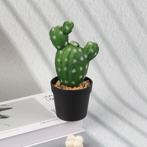 Factory Price Faux Cactus Plants Artificial Potted Plants for Indoor Decor