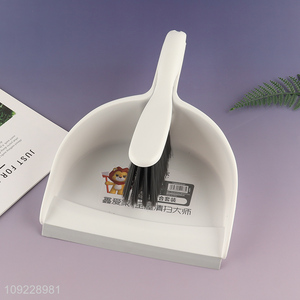 China factory desktop cleaning tool cleaning brush soft bristle dustpan set