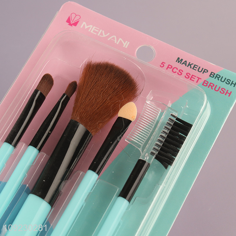 Best selling 5pcs professional makeup tool cosmetic brush makeup brush wholesale