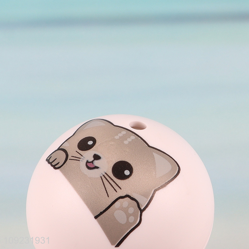 Good Quality Cat Toy Ball Bite Resistant Interactive Cat Toy