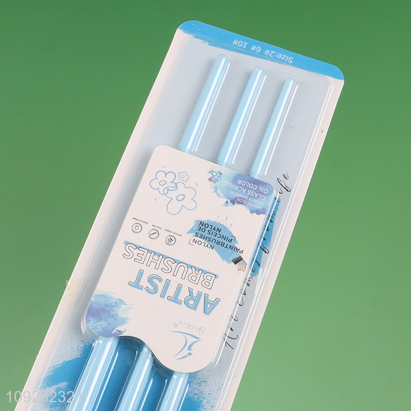 Hot Selling 3PCS Nylon Bristle Paintbrushes Artist Paint Brushes Set