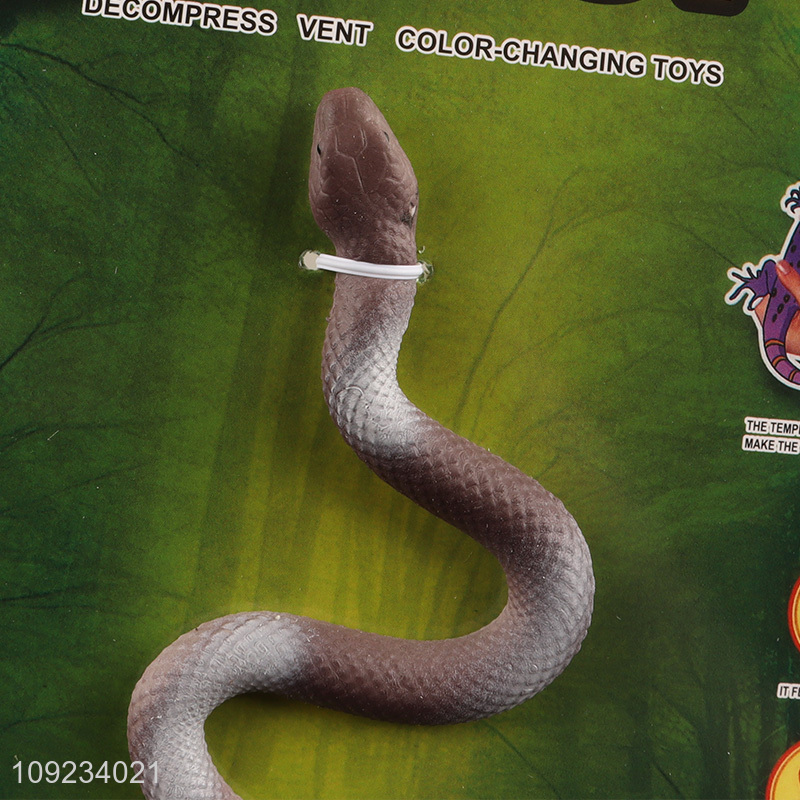 New Product Color Changing Snake Toy Stress Relief Fidget Toy