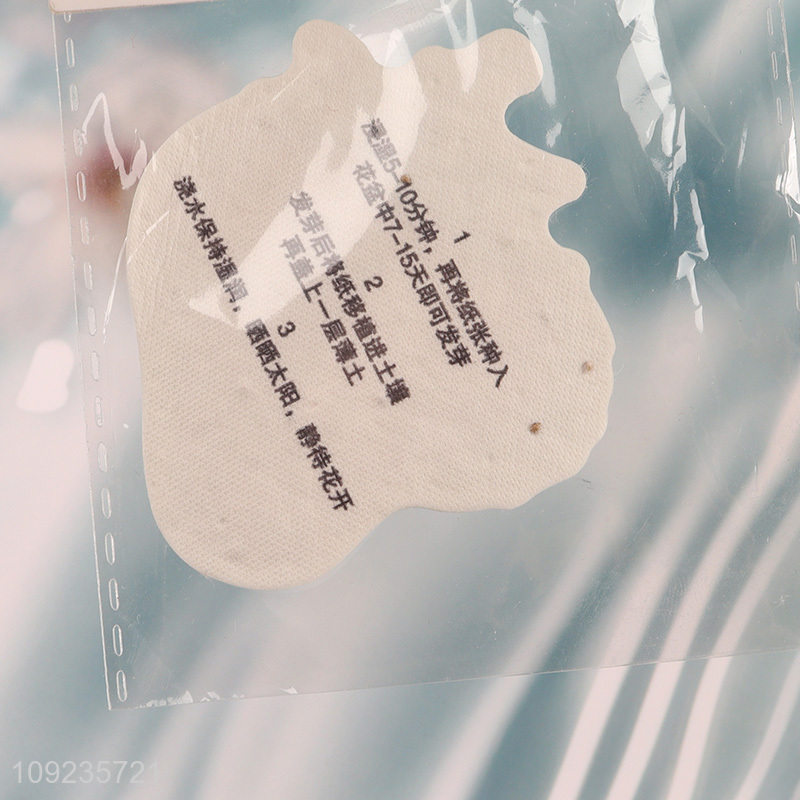 New Product Plantable Seed Paper Card Strawberry Seed Paper Card