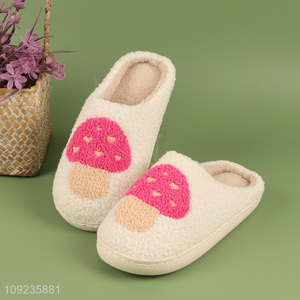 Wholesale Winter Slippers Fuzzy Indoor Slippers House Slippers for Women