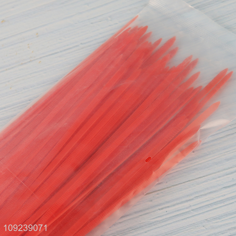 Hot items red 100pcs nylon cable tie self-locking cable for sale