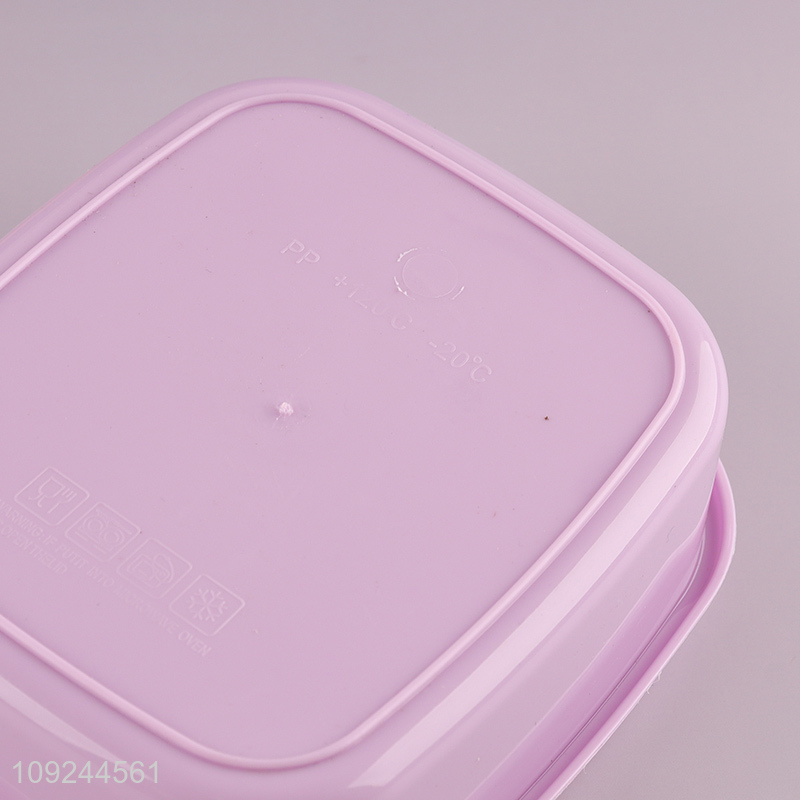 Wholesale Kids Bento Box BPA Free Plastic Bento Lunch Box with Spoon