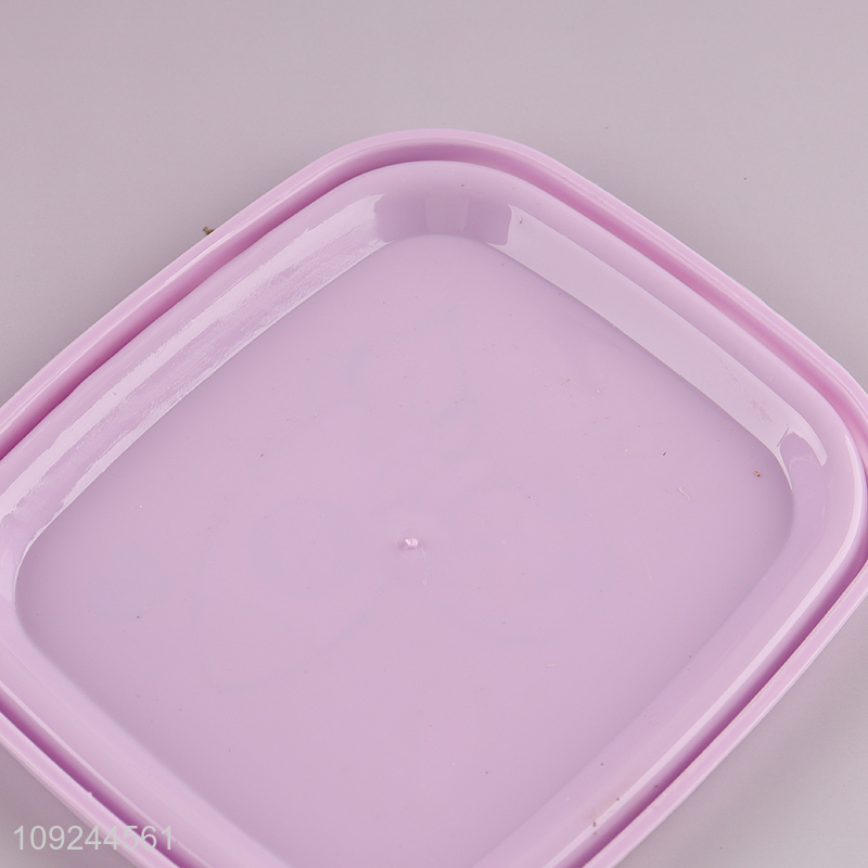 Wholesale Kids Bento Box BPA Free Plastic Bento Lunch Box with Spoon