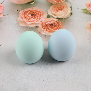 Low price natural multicolor kitchen diatomite material drying ball