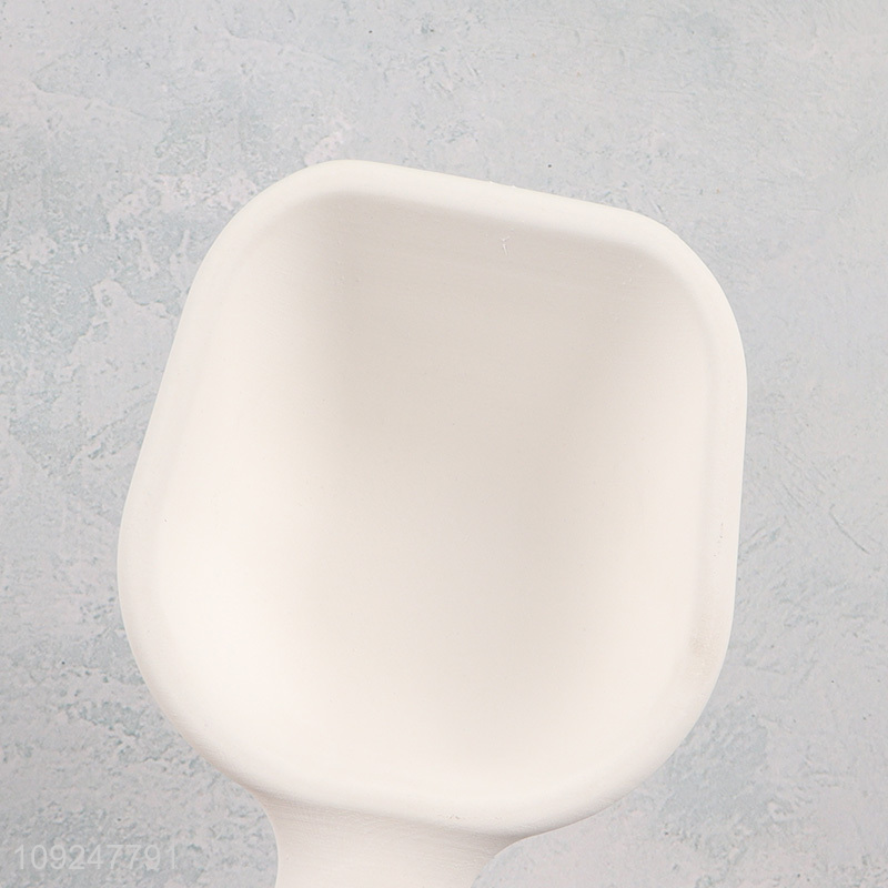 China factory pet supplies diatom ooze pet feed scoop for sale