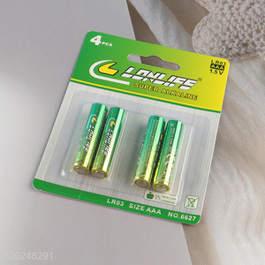 Hot Selling 1.5V LR03 AAA Battery Triple A Alkaline Zinc-Manganese Battery