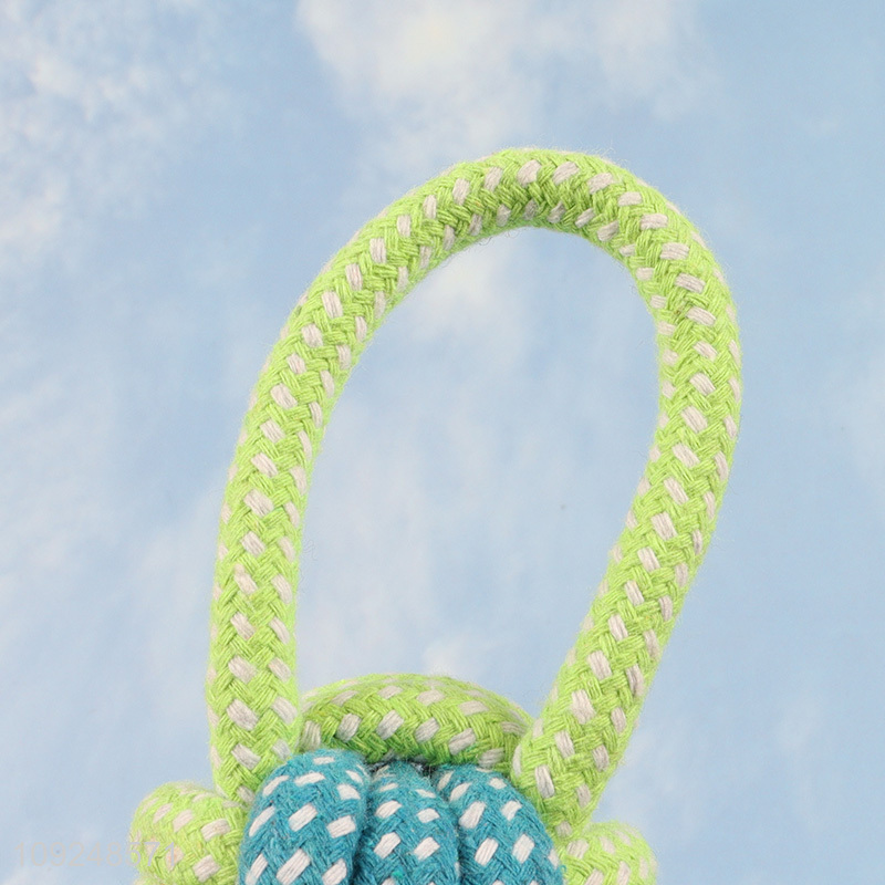 Yiwu market bite-resistant pet dog teeth cleaning chew toys for sale