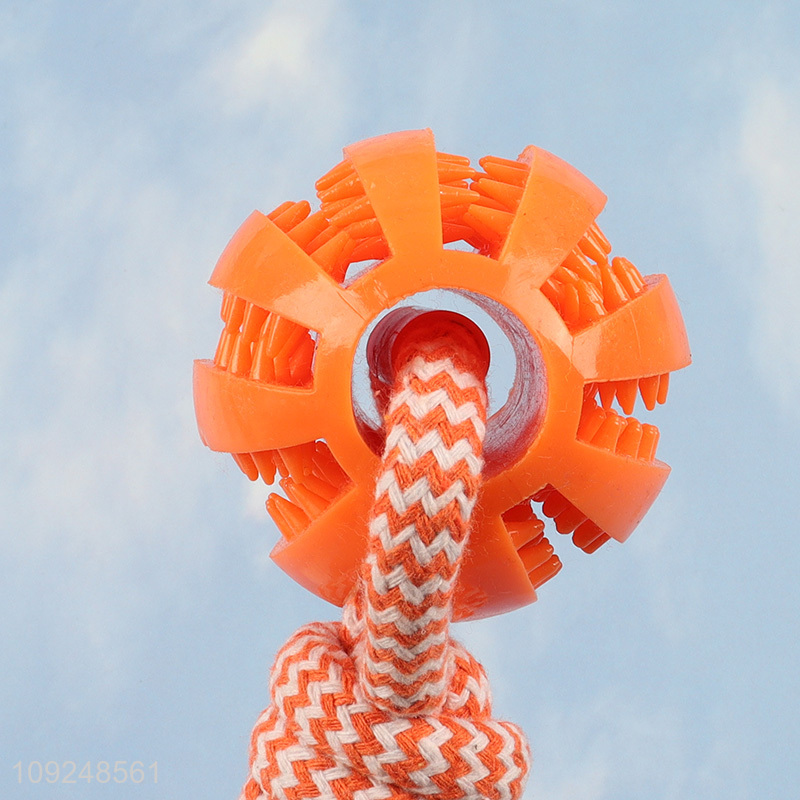 China supplier indoor outdoor pet dog chew toys training interactive toys for sale