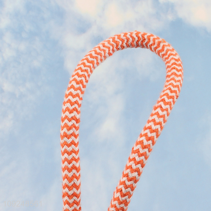 China supplier indoor outdoor pet dog chew toys training interactive toys for sale