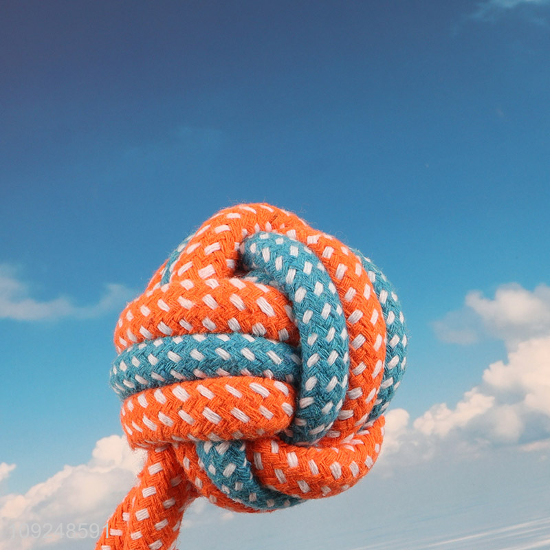 Most popular bite-resistant pet dog cotton rope chew toys interactive toys