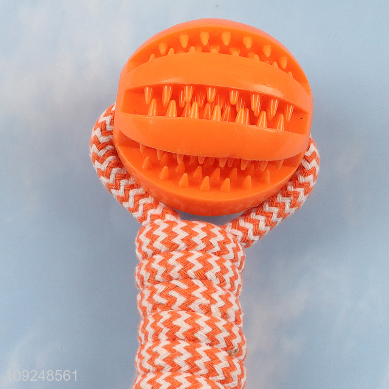 China supplier indoor outdoor pet dog chew toys training interactive toys for sale