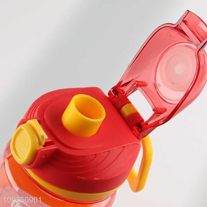 High Quality Large Capacity Plastic Sport Water Bottle with Handle & Leakproof Lid