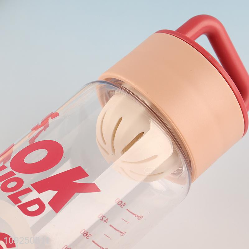 High Quality Plastic Water Bottle Tea Fruit Infuser Water Bottle with Handle