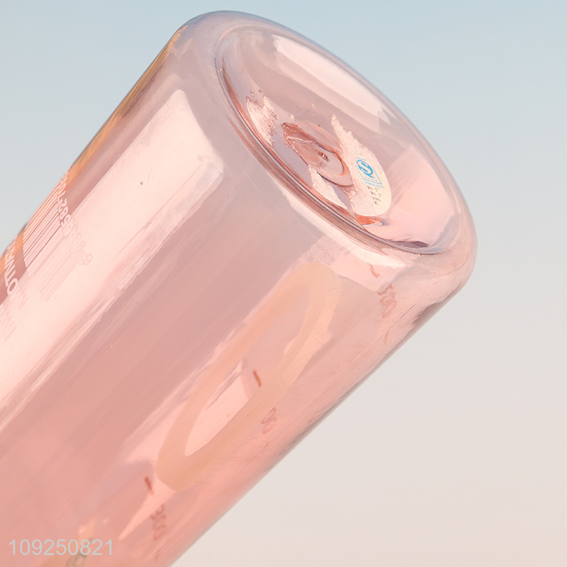 New Product Portable Plastic Water Bottle Fruit Infuser Bottles Summer Juice Bottle