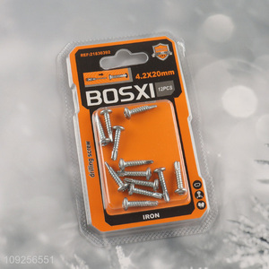 High Quality 12 Pieces Self Drilling Screws Set Iron Self Tapping Screws Set