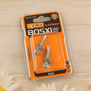 Good Quality 2 Pieces Iron Self Drilling Screws with Washer for Plastic Metal