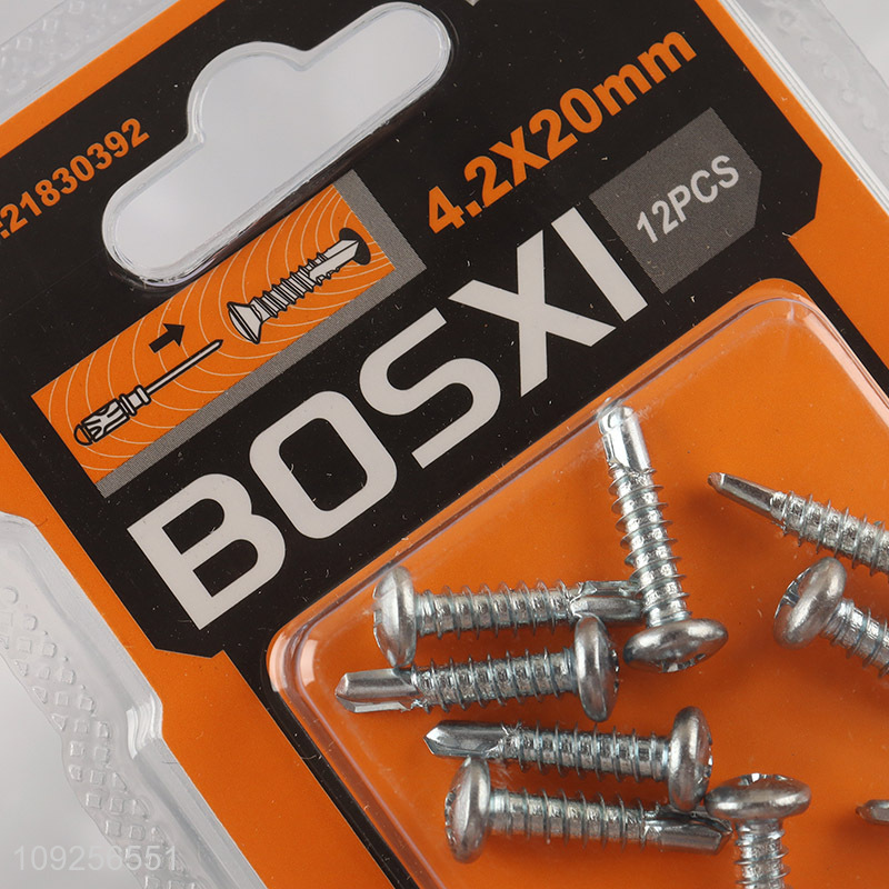 High Quality 12 Pieces Self Drilling Screws Set Iron Self Tapping Screws Set