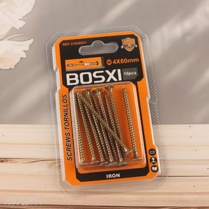 Good Quality 10 Pieces Self Tapping Screw Set Iron Self Tapping Screws Set