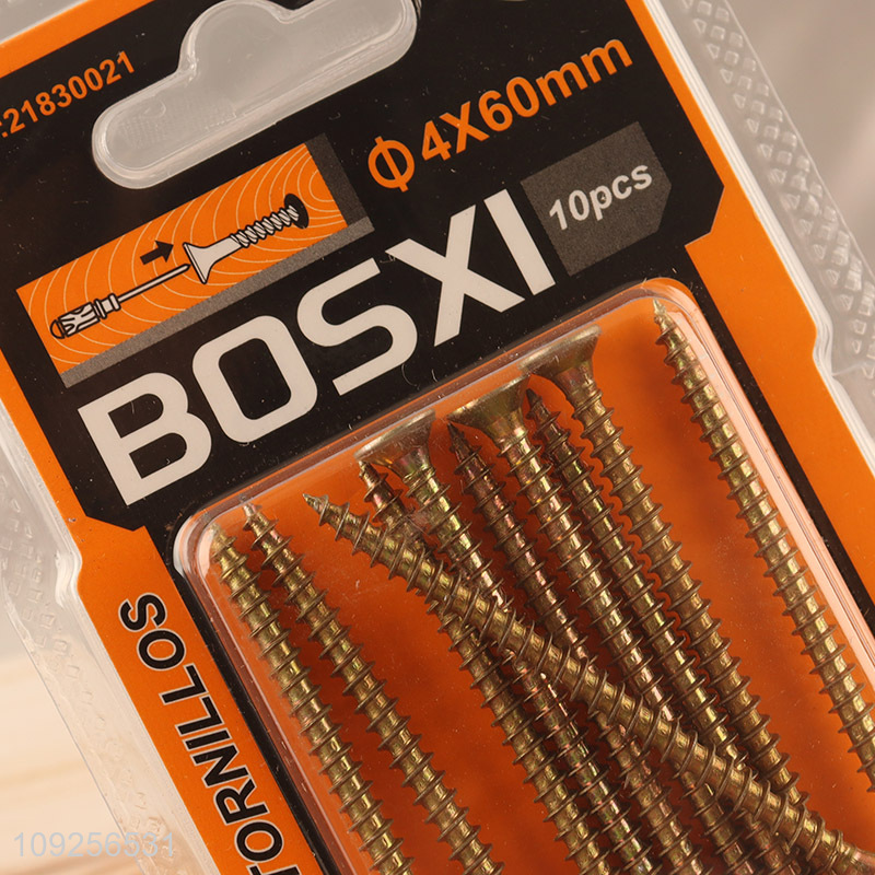 Good Quality 10 Pieces Self Tapping Screw Set Iron Self Tapping Screws Set