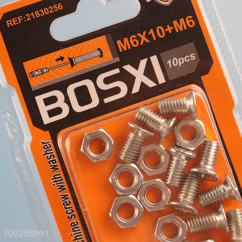 Hot Selling 10Set M6 Screw and Nut Set Iron Screws and Nuts Set Fastener Kit