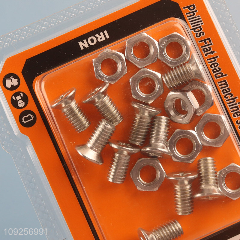 Hot Selling 10Set M6 Screw and Nut Set Iron Screws and Nuts Set Fastener Kit