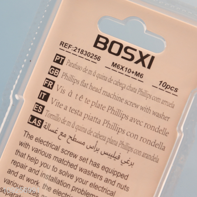 Hot Selling 10Set M6 Screw and Nut Set Iron Screws and Nuts Set Fastener Kit