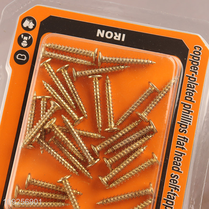 Hot Selling 30 Pieces Self Tapping Screw Set Iron Self Tapping Screws Set