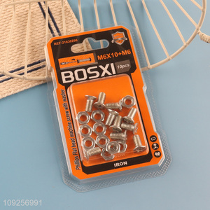 Hot Selling 10Set M6 Screw and Nut Set Iron Screws and Nuts Set Fastener Kit