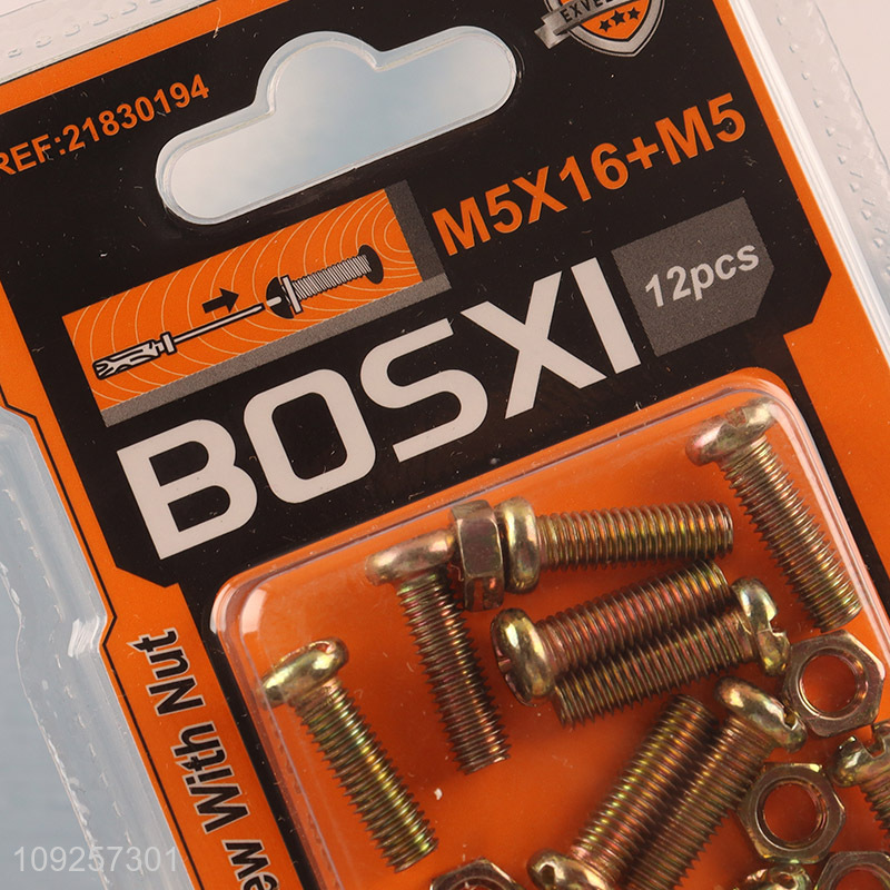 China Imports 12Set M5 Screw and Nut Set Iron Screws and Nuts Set Fastener Kit