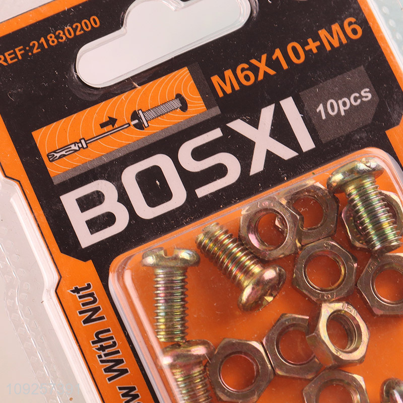 China Imports 10Set M6 Screw and Nut Set Iron Screws and Nuts Set Fastener Kit