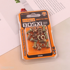 China Imports 10Set M6 Screw and Nut Set Iron Screws and Nuts Set Fastener Kit