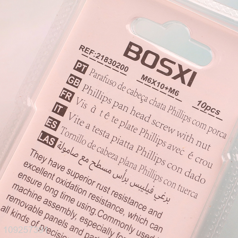 China Imports 10Set M6 Screw and Nut Set Iron Screws and Nuts Set Fastener Kit