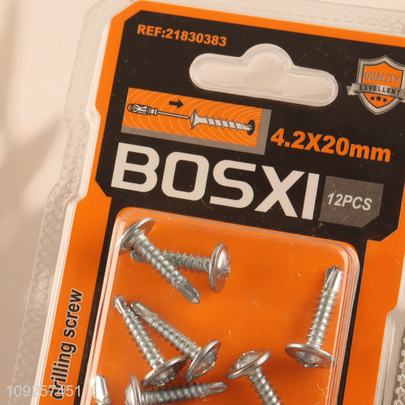 Good Quality 12 Pieces Self Drilling Screws Set Iron Self Tapping Screws Set