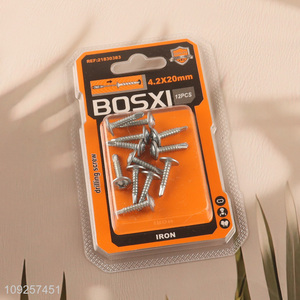 Good Quality 12 Pieces Self Drilling Screws Set Iron Self Tapping Screws Set