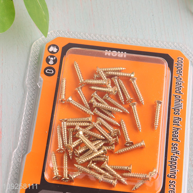 China Wholesale 50 Pieces Self Tapping Screw Set Iron Self Tapping Screws Set