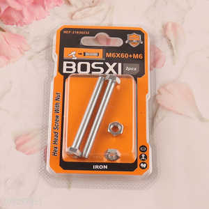 Factory Price 2 Pieces M6 Iron Screws and Nuts Set Hardware Assortment Kit