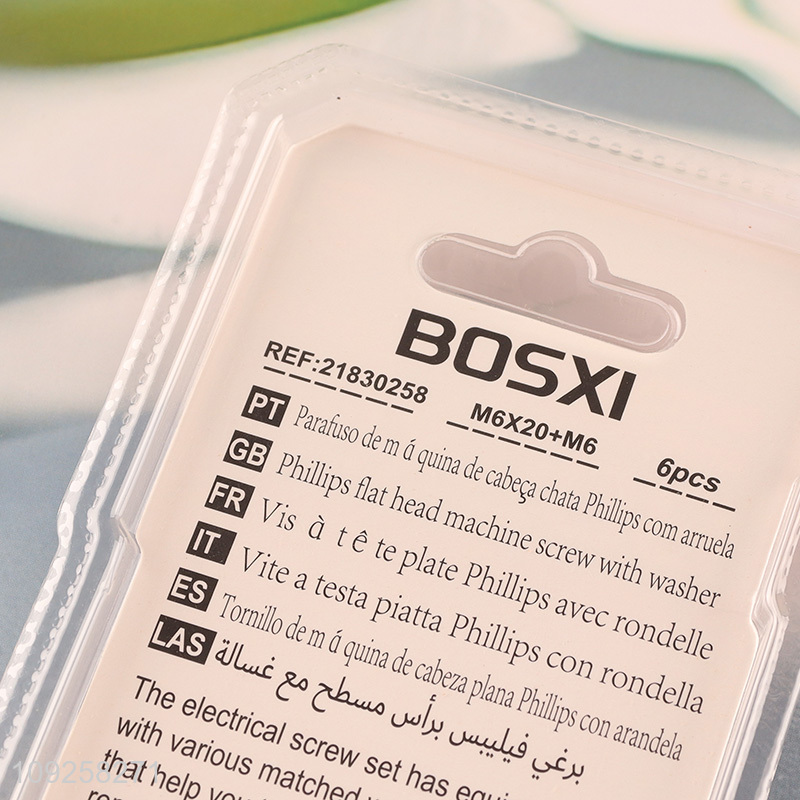 Hot Selling 6 Pieces M6 Iron Screws and Nuts Set Hardware Assortment Kit