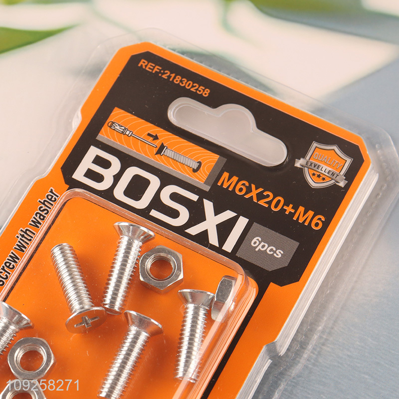 Hot Selling 6 Pieces M6 Iron Screws and Nuts Set Hardware Assortment Kit