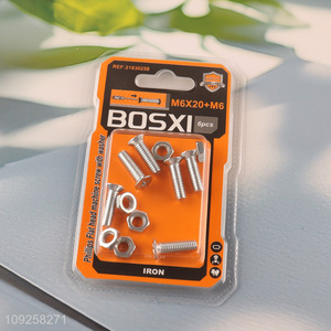 Hot Selling 6 Pieces M6 Iron Screws and Nuts Set Hardware Assortment Kit